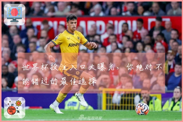 世界杯投注入口大曝光，你绝对不能错过的最佳选择