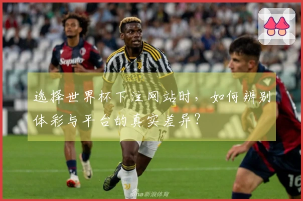 选择世界杯下注网站时,如何辨别体彩与平台的真实差异?
