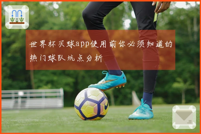 世界杯买球app使用前你必须知道的热门球队坑点分析