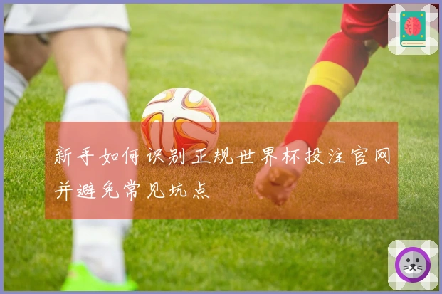 新手如何识别正规世界杯投注官网并避免常见坑点