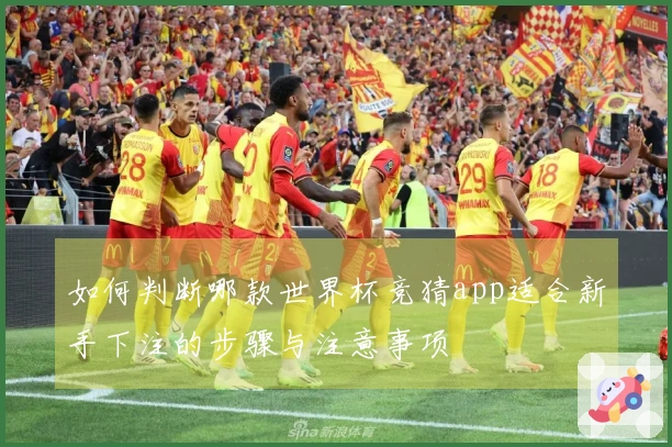 如何判断哪款世界杯竞猜app适合新手下注的步骤与注意事项