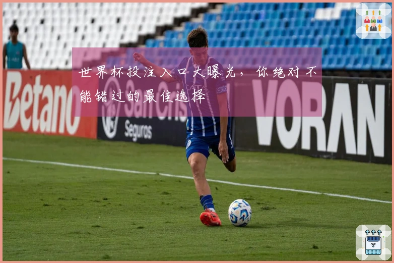 世界杯投注入口大曝光,你绝对不能错过的最佳选择