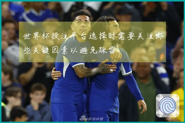 世界杯投注平台选择时需要关注哪些关键因素以避免踩雷