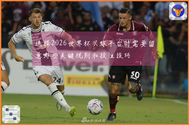 选择2026世界杯买球平台时需要留意哪些关键规则和投注技巧
