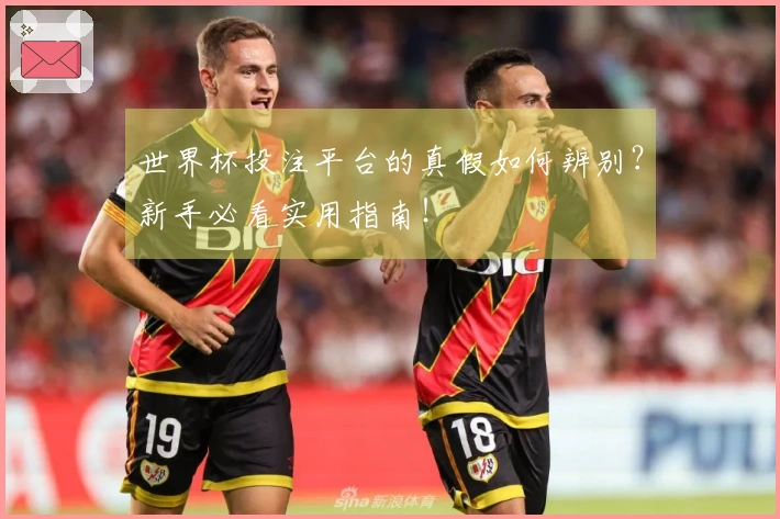 世界杯投注平台的真假如何辨别？新手必看实用指南！