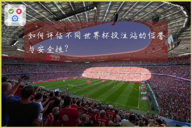 如何评估不同世界杯投注站的信誉与安全性？