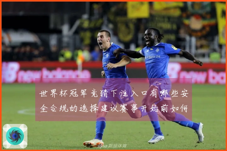 世界杯冠军竞猜下注入口有哪些安全合规的选择建议赛事开始前如何判断合理入口