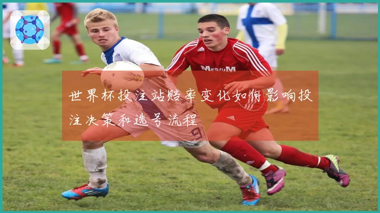 世界杯投注站赔率变化如何影响投注决策和选号流程