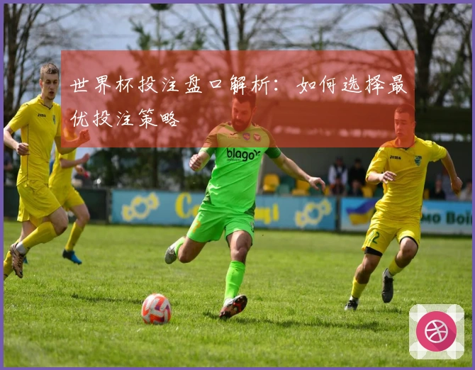世界杯投注盘口解析：如何选择最优投注策略