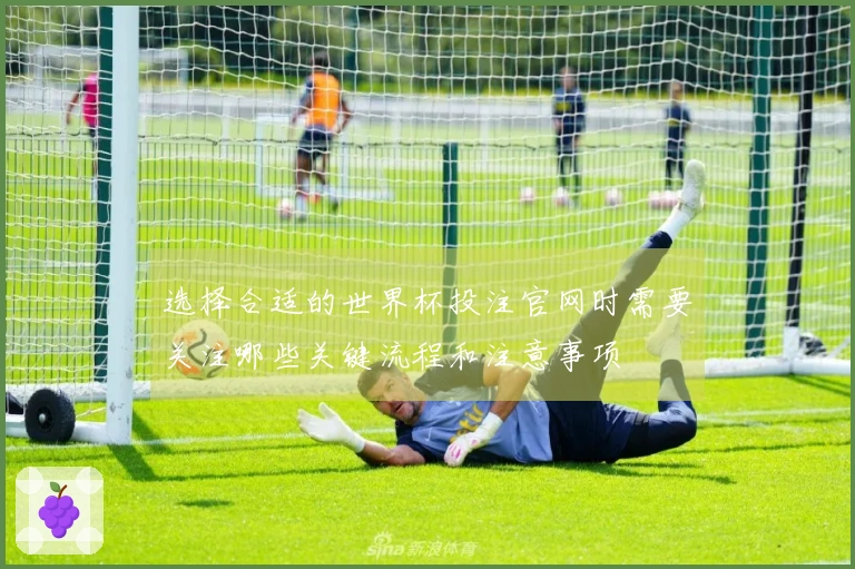 选择合适的世界杯投注官网时需要关注哪些关键流程和注意事项