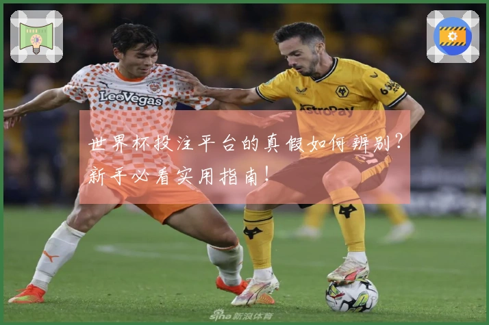 世界杯投注平台的真假如何辨别？新手必看实用指南！