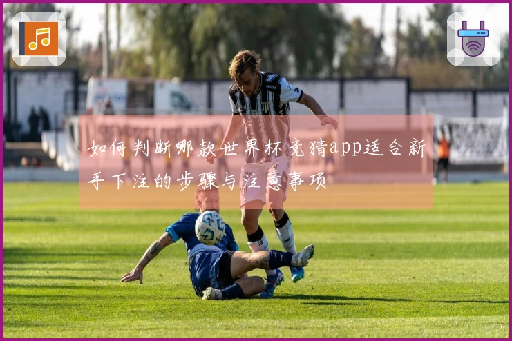 如何判断哪款世界杯竞猜app适合新手下注的步骤与注意事项